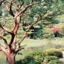 Kyoto, Japan